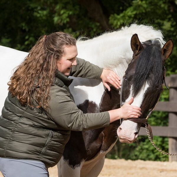 VSTM Epona Equine Veterinary Care Victoria Gnadt