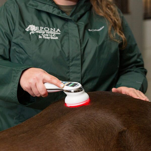 Epona Equine Veterinary Care Laser Therapy Victoria Gnadt, DVM, CVSMT, CVA